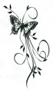 butterfly