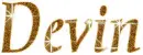 Devin