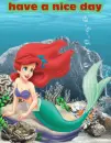 ariel