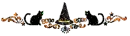Halloween divider