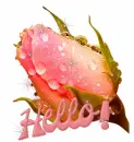 Hello