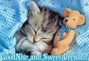 snuggled in...*