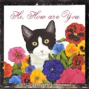 How are you?