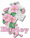 Hayley