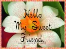 Hello Friend