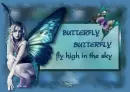 butterfly