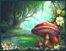 enchanted forest