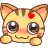 cute cat face
