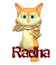 my cat