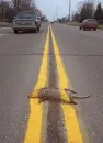 funny