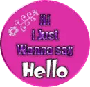 hi, i just wanna say a hello