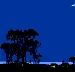 night pradise