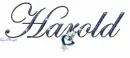 dallas cowboys swinging heart charm harold