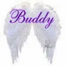 Buddy