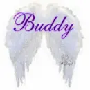Buddy