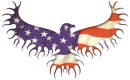 Flag Eagle
