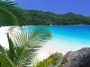 tropical island background