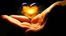 Heart in your hands 