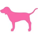 pink dog