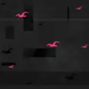 BIRD HOLLISTER