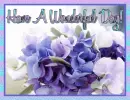 Have A Wonderful Day!