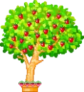 apple tree