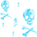 skulls