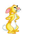 rabbit
