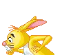 rabbit