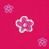 colour flowers
