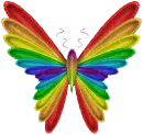 rainbow butterfly