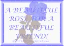 Beautiful Blue Rose