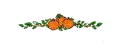 pumpkin divider