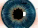 eye