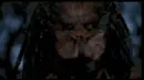 predator