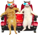 movie cats