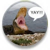 yay button