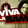 Viva La Bam