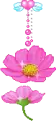 VIOLET FLOWERS
