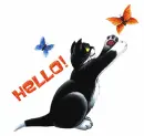 Hello