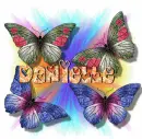 Danielle butterflies