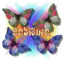 Sabrina butterflies