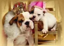 so cutee