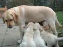 dinner time