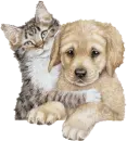 best friends
