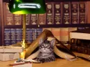 betwen books