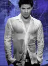 David Boreanaz