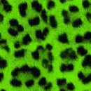 green leopard