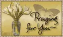 praying for you