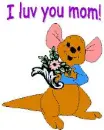 roo